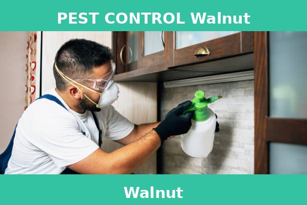 PEST CONTROL Walnut